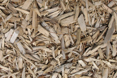 biomass boilers Angersleigh
